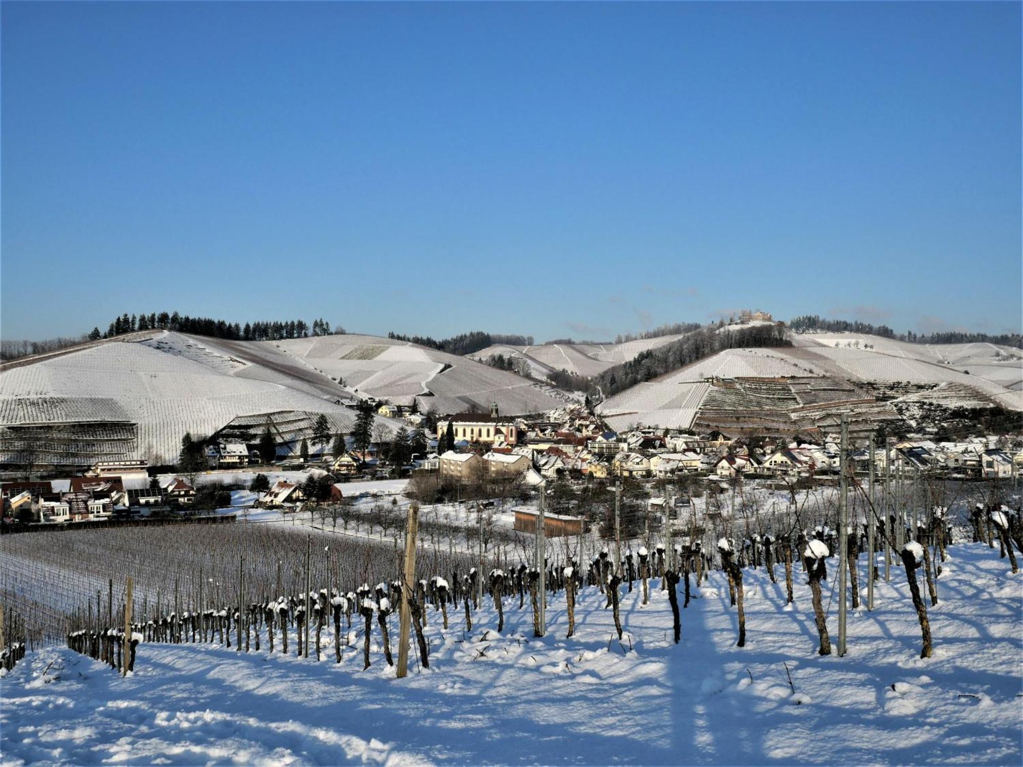 Gaestehaus Woerner Durbach Exterior foto