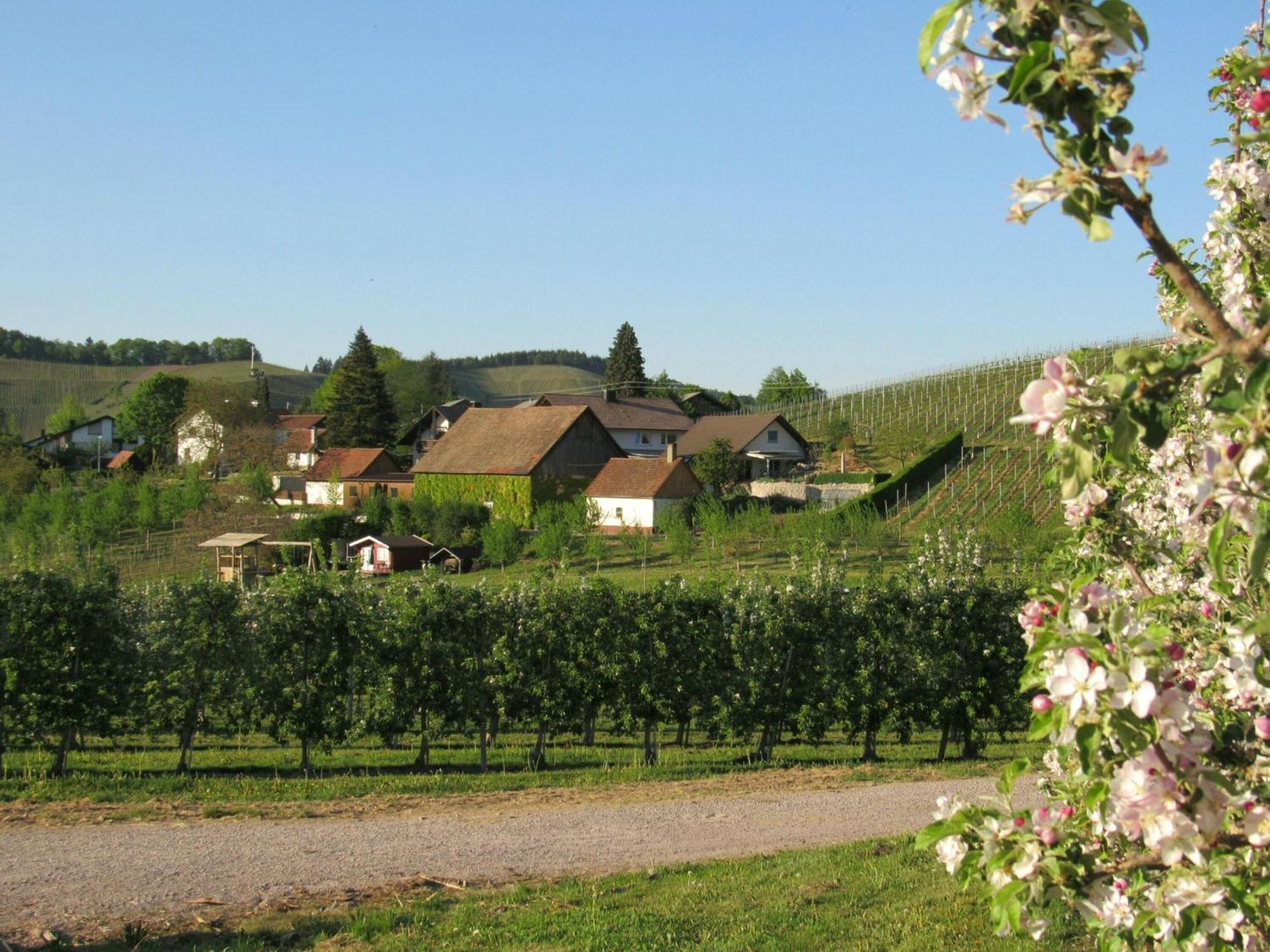 Gaestehaus Woerner Durbach Exterior foto